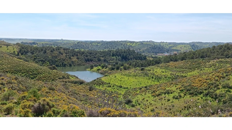 Terreno Misto para Venda em Castro Marim Foto 21