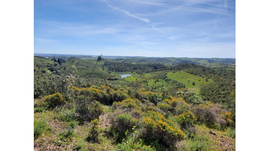 Terreno Misto para Venda em Castro Marim Foto 6