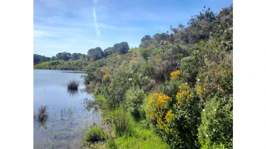 Terreno Misto para Venda em Castro Marim Foto 14