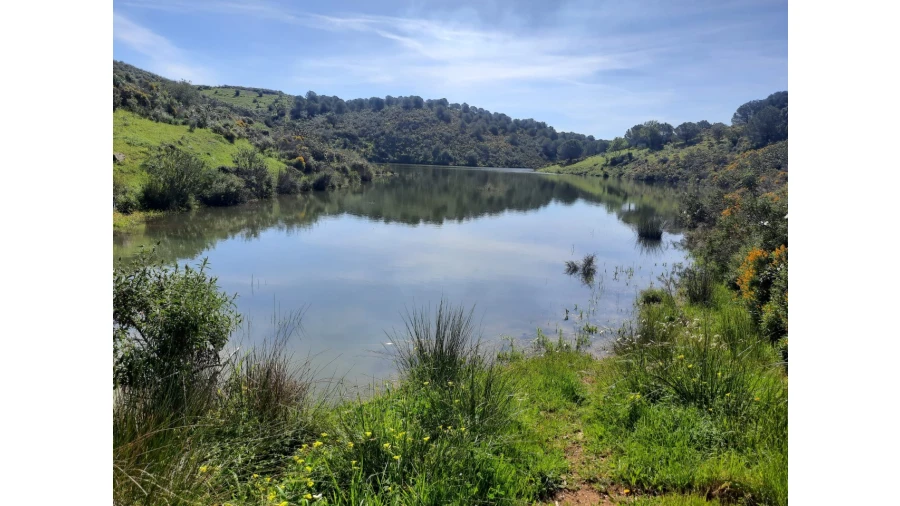 Terreno Misto para Venda em Castro Marim Foto 38