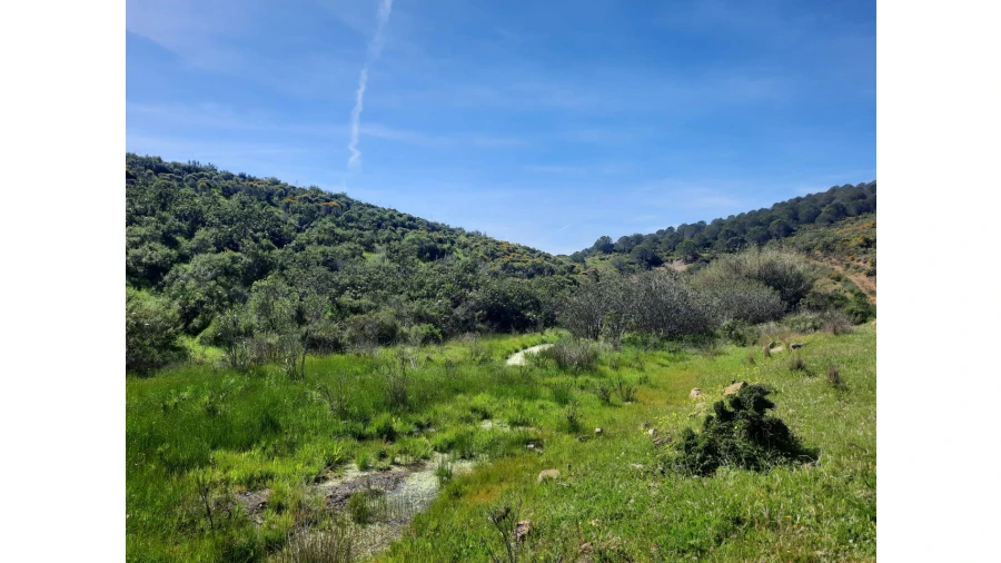 Terreno Misto para Venda em Castro Marim Foto 42