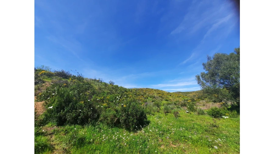 Terreno Misto para Venda em Castro Marim Foto 4