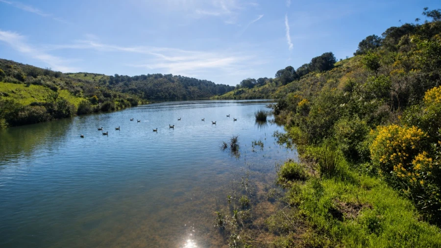 Terreno Misto para Venda em Castro Marim