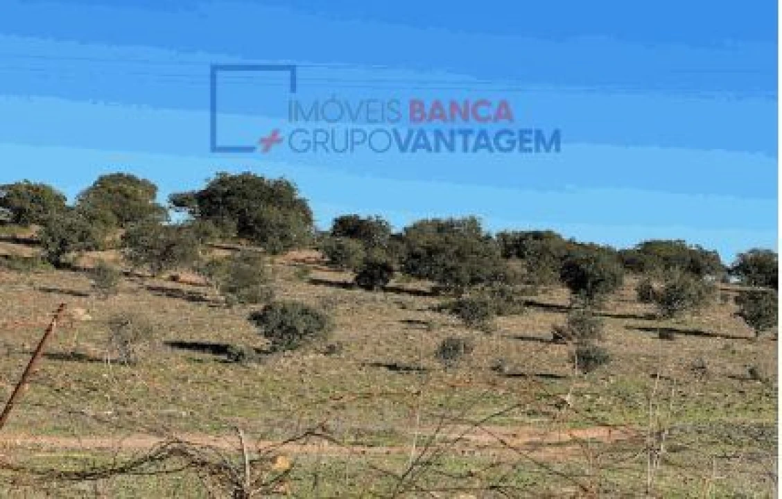 Terreno Agricola ou Rústico para Venda em Santana de Cambas Foto 4