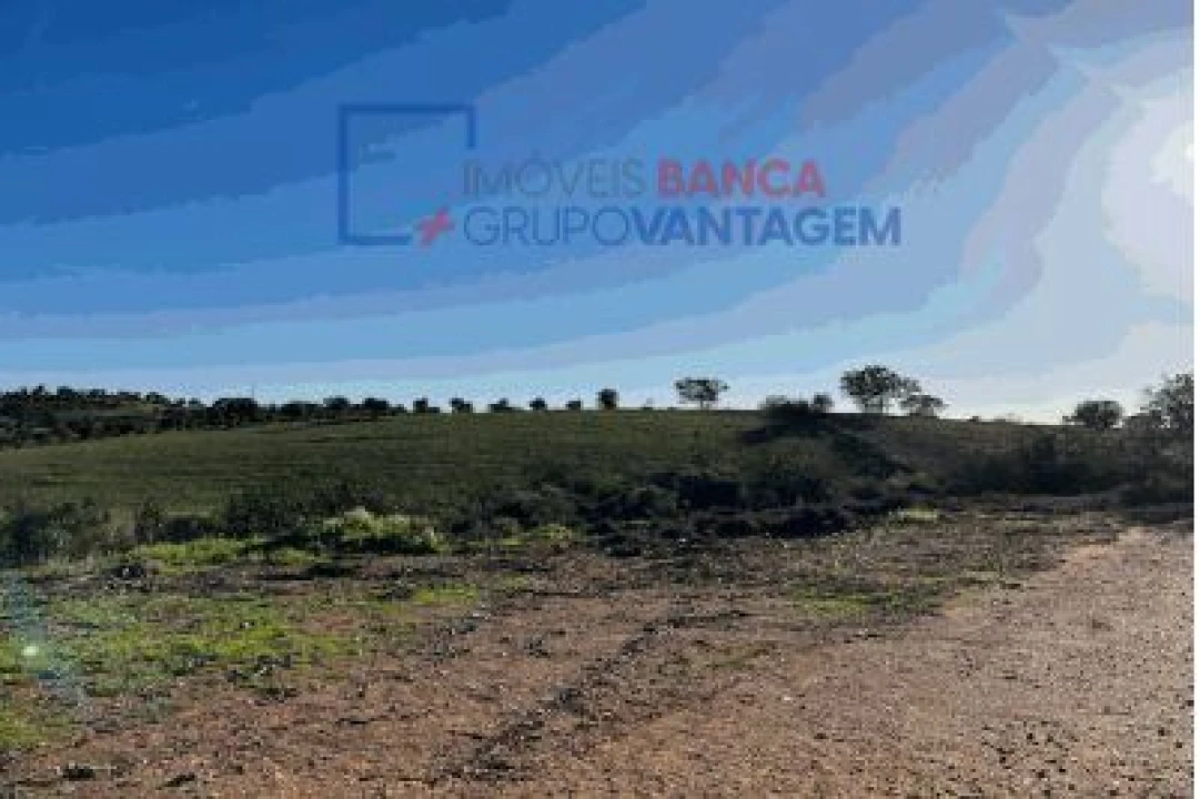 Terreno Agricola ou Rústico para Venda em Santana de Cambas Foto 6