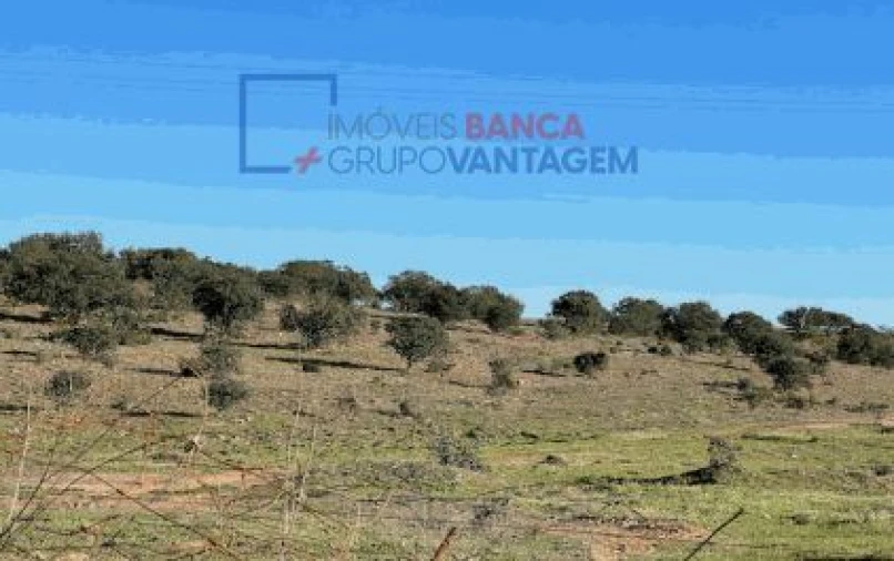 Terreno Agricola ou Rústico para Venda em Santana de Cambas Foto 3
