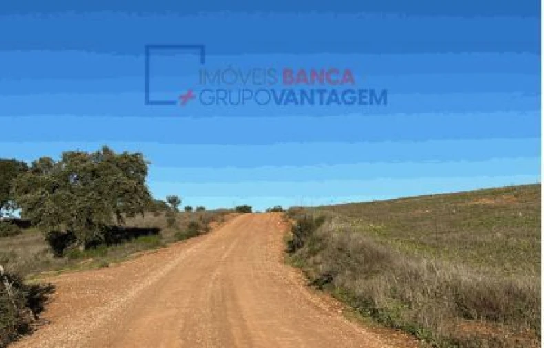 Terreno Agricola ou Rústico para Venda em Santana de Cambas Foto 5