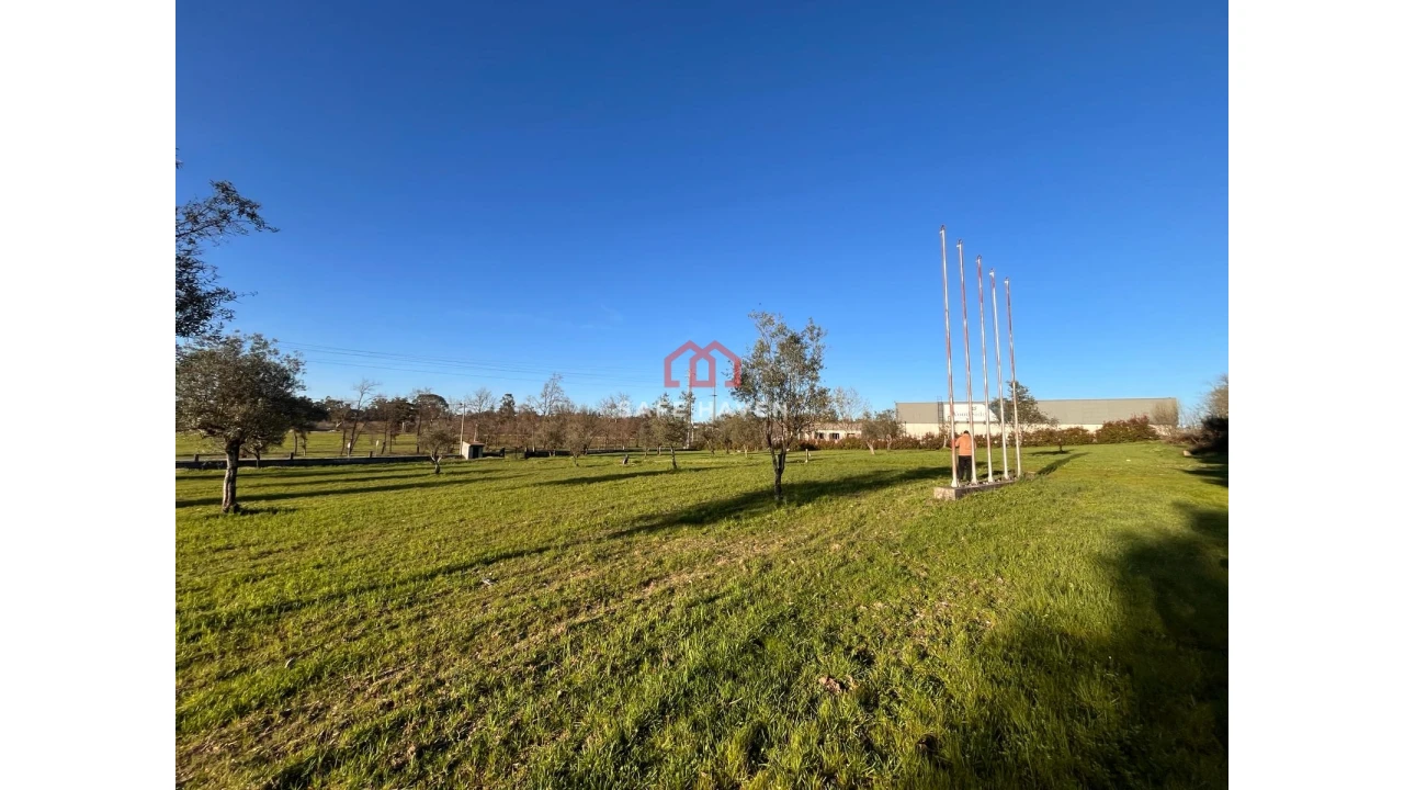 Quinta T0 para Venda em Mangualde, Mesquitela e Cunha Alta Foto 5