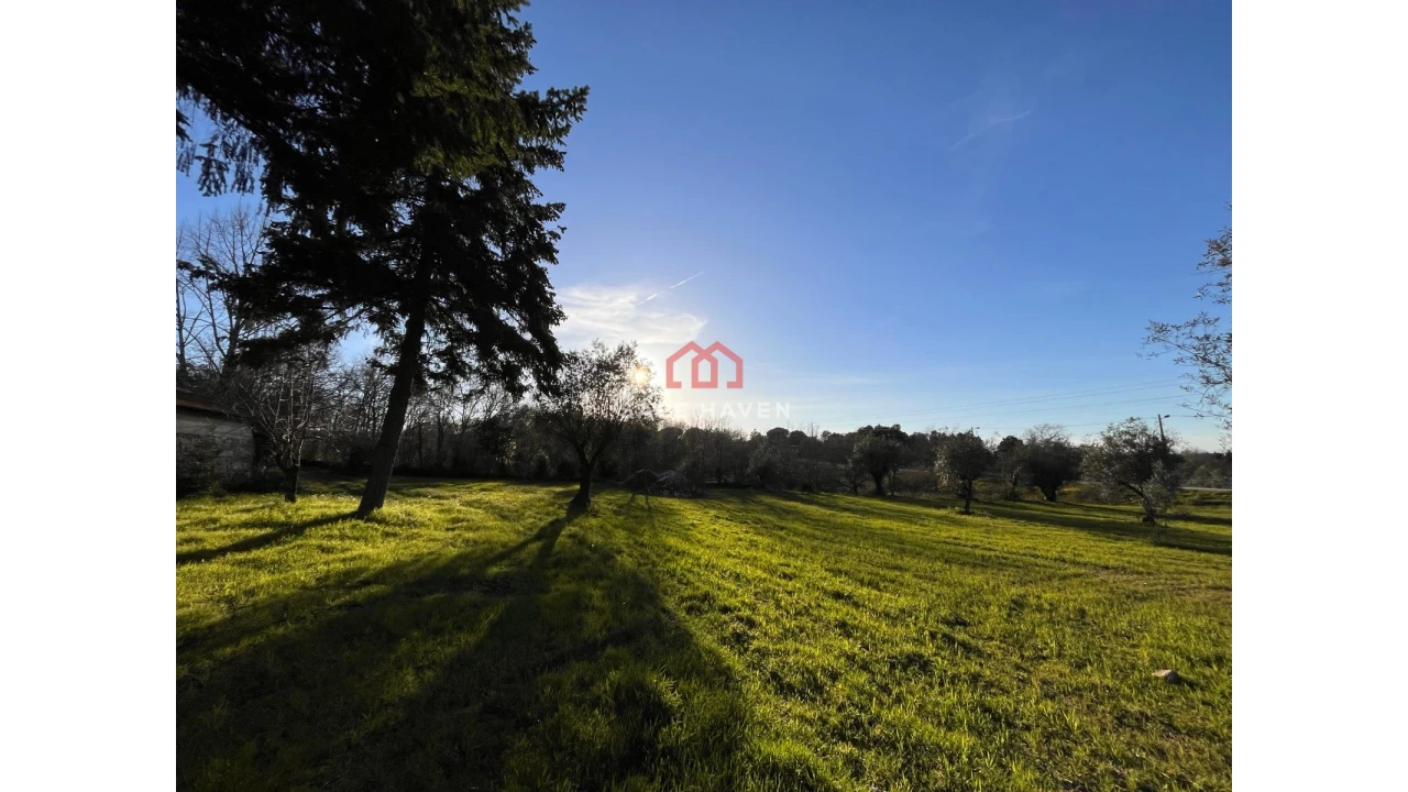 Quinta T0 para Venda em Mangualde, Mesquitela e Cunha Alta Foto 4