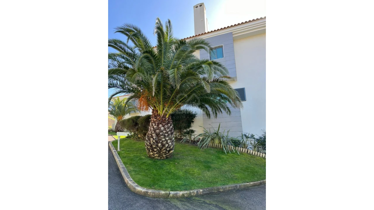 Quinta T4 para Venda em Cascais e Estoril Foto 20