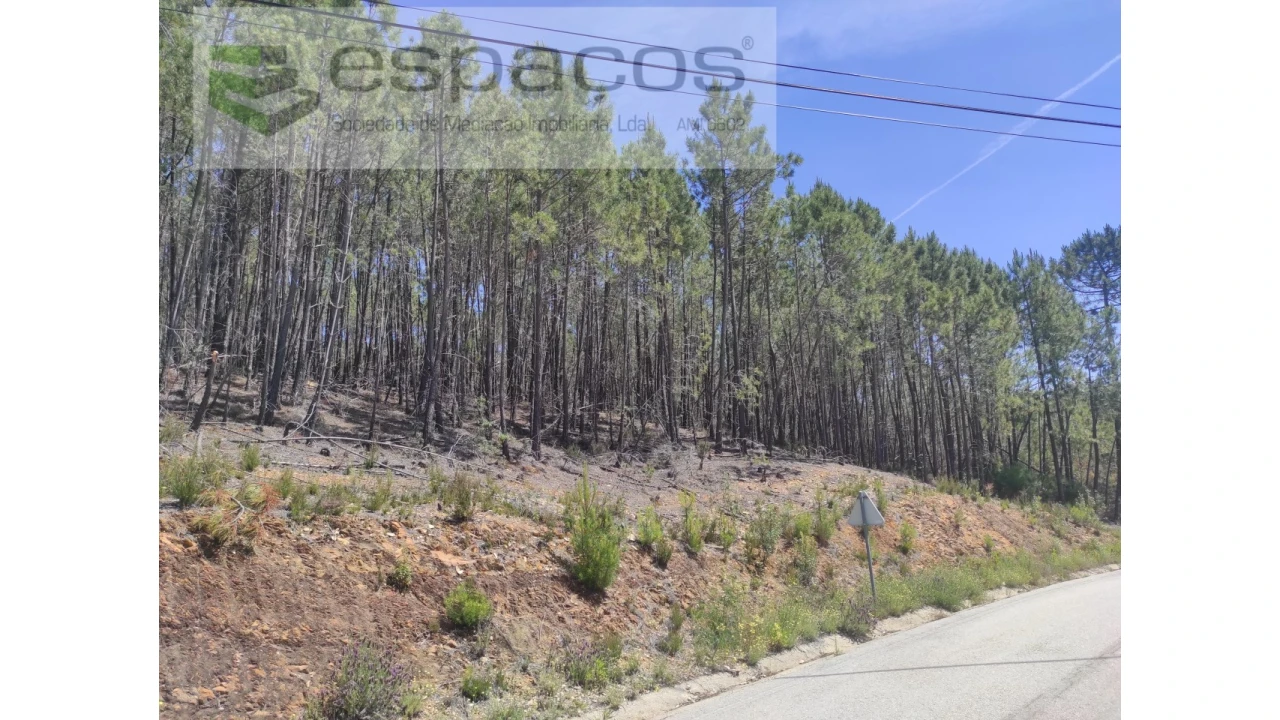 Terreno Agricola ou Rústico para Venda em Almaceda Foto 6