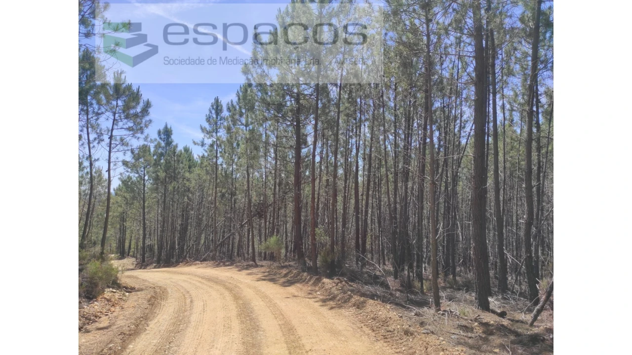 Terreno Agricola ou Rústico para Venda em Almaceda Foto 2
