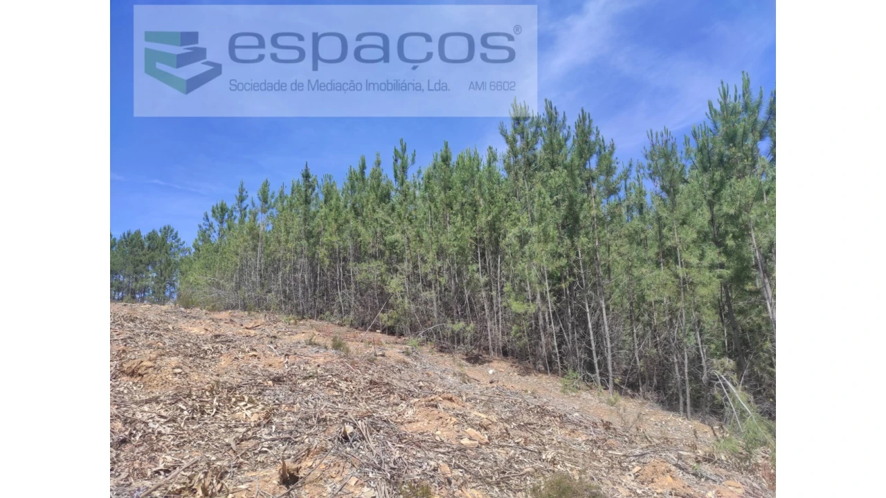 Terreno Agricola ou Rústico para Venda em Almaceda Foto 19
