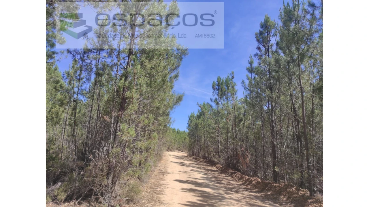 Terreno Agricola ou Rústico para Venda em Almaceda Foto 20