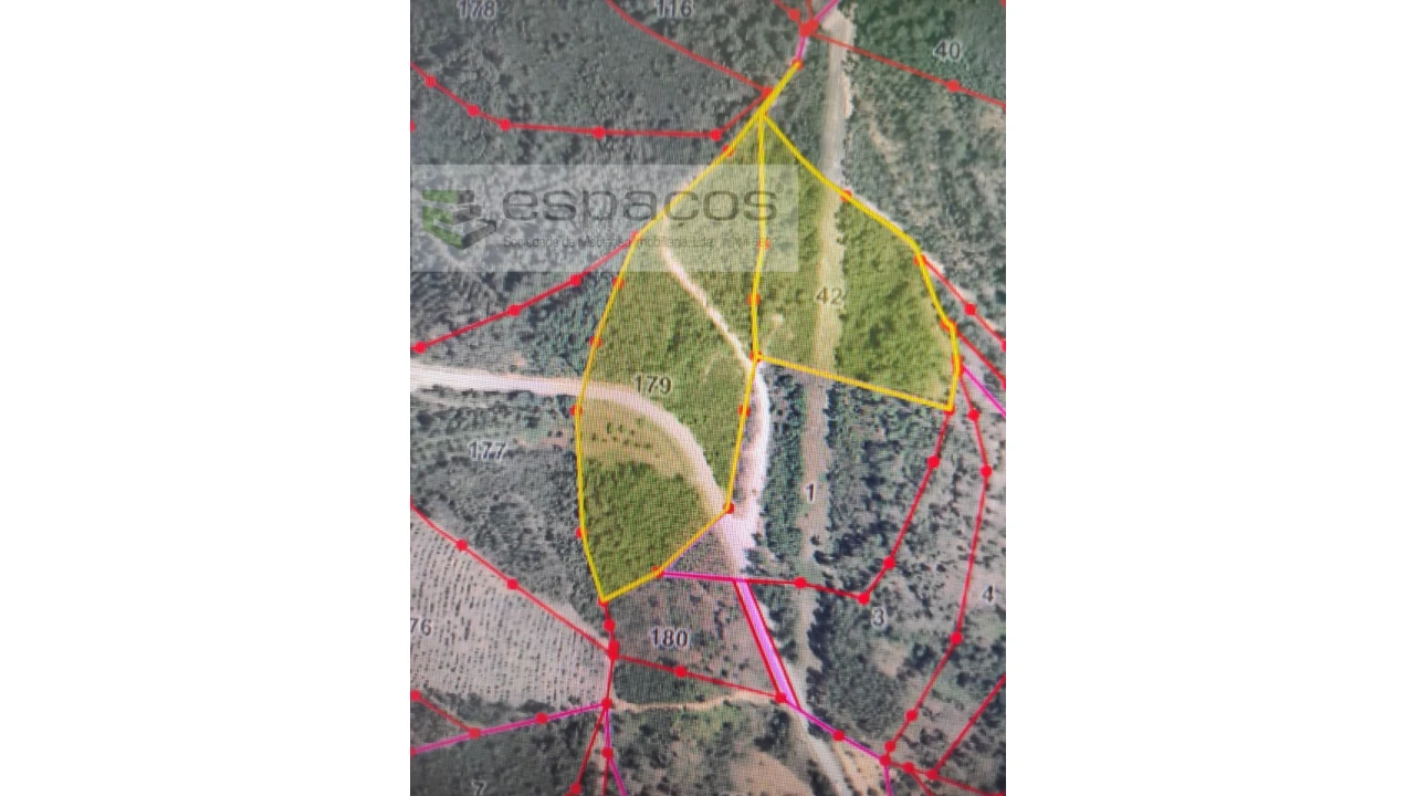 Terreno Agricola ou Rústico para Venda em Almaceda Foto 21
