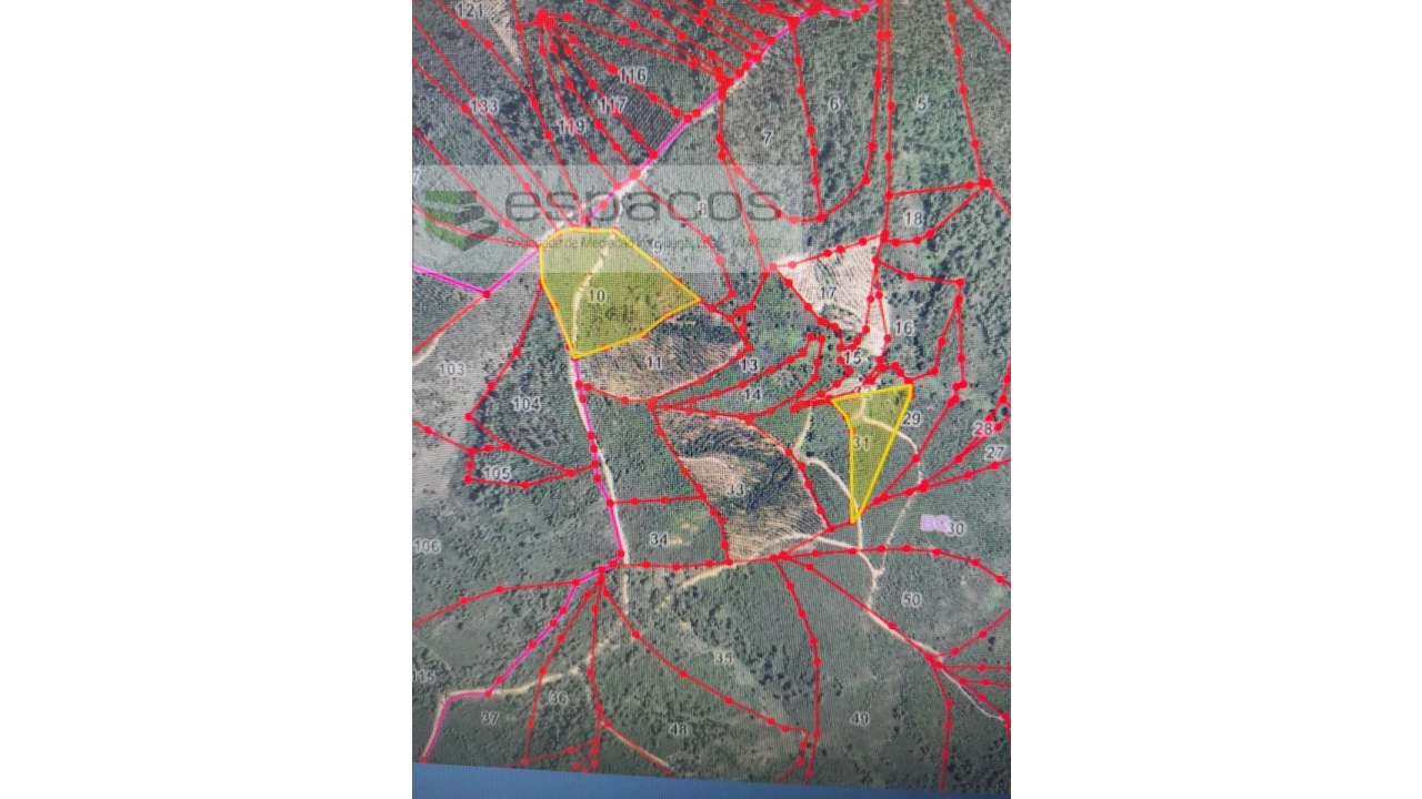 Terreno Agricola ou Rústico para Venda em Almaceda Foto 22