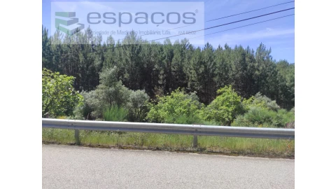 Terreno Agricola ou Rústico para Venda em Almaceda