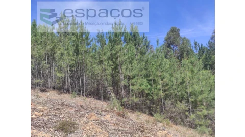 Terreno Agricola ou Rústico para Venda em Almaceda