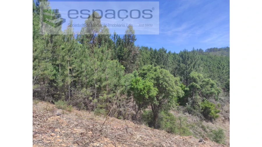Terreno Agricola ou Rústico para Venda em Almaceda Foto 17