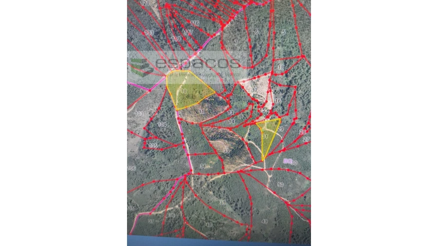 Terreno Agricola ou Rústico para Venda em Almaceda Foto 22