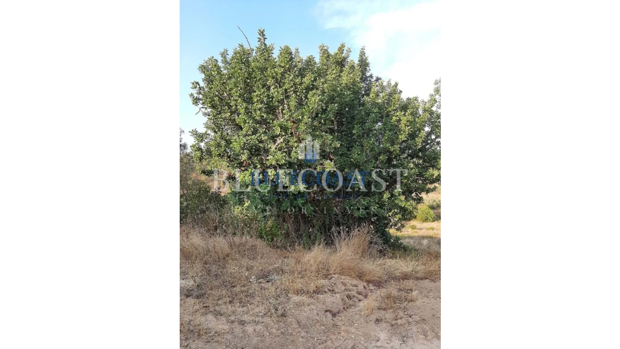 Quinta T4 para Venda em Santa Clara-A-Velha Foto 8