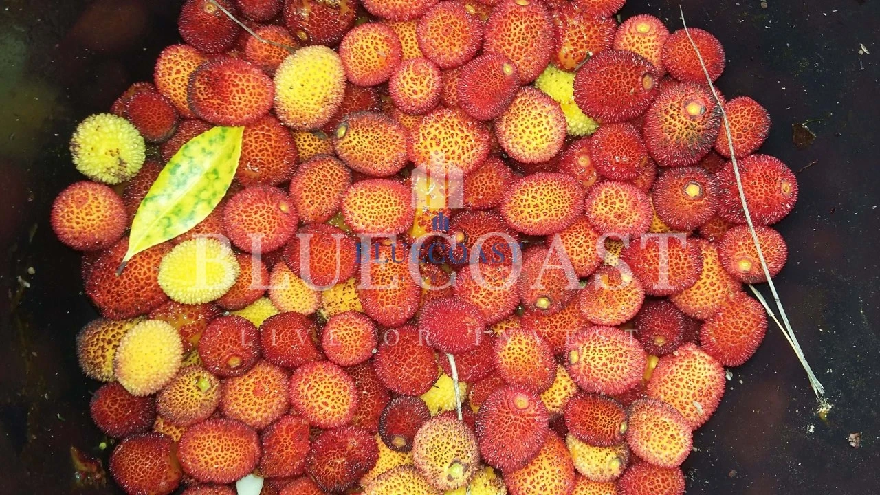 Quinta T4 para Venda em Santa Clara-A-Velha Foto 15