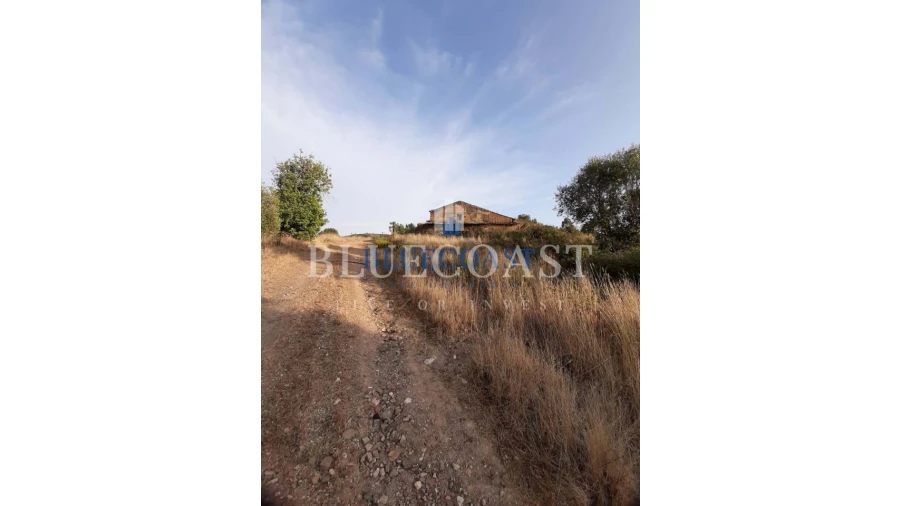 Quinta T4 para Venda em Santa Clara-A-Velha Foto 2