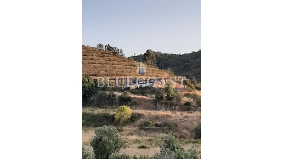 Quinta T4 para Venda em Santa Clara-A-Velha Foto 7