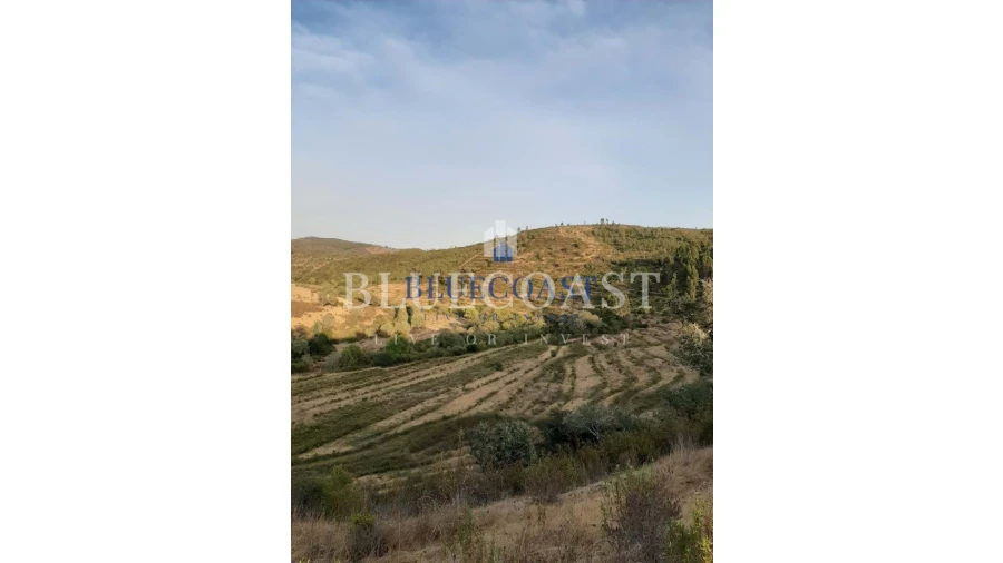 Quinta T4 para Venda em Santa Clara-A-Velha Foto 11