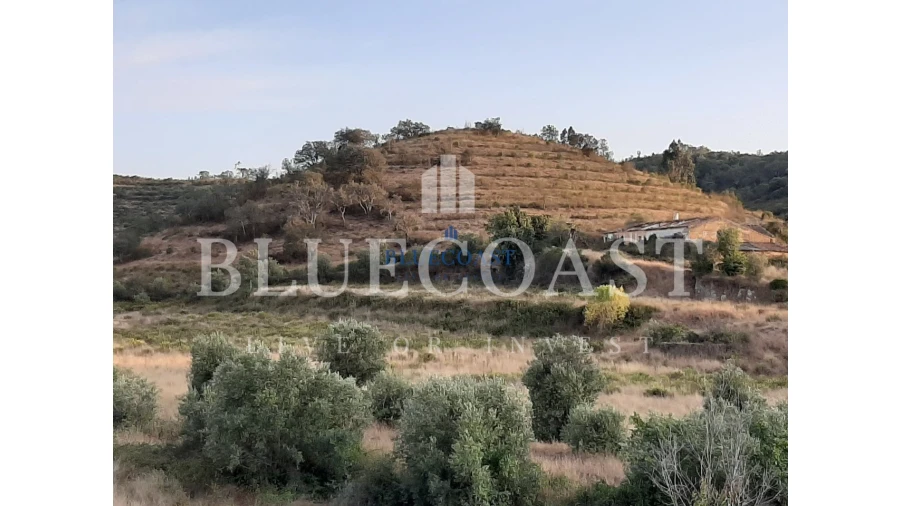 Quinta T4 para Venda em Santa Clara-A-Velha Foto 14