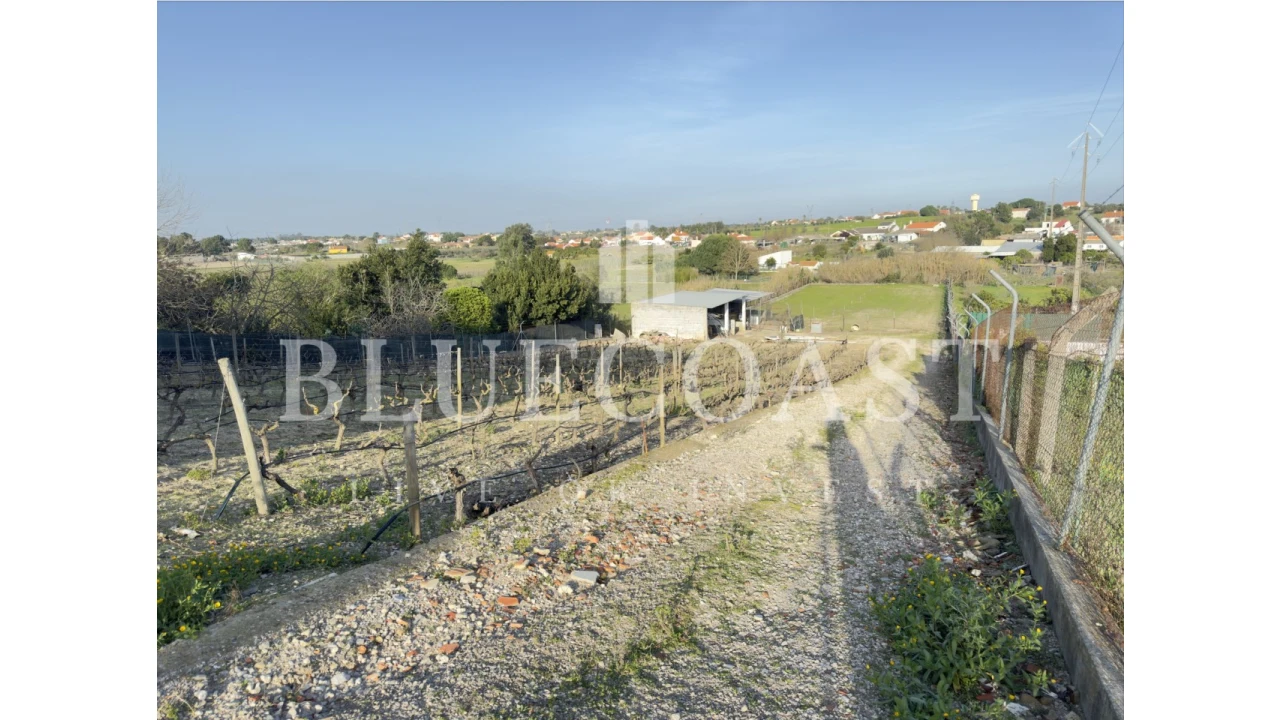 Moradia T5 para Venda em Poceirão e Marateca Foto 49