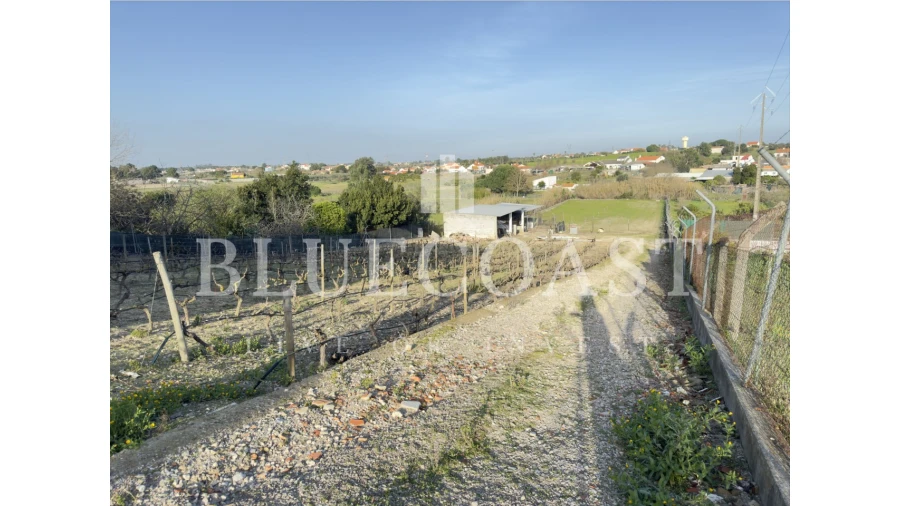 Moradia T5 para Venda em Poceirão e Marateca Foto 49