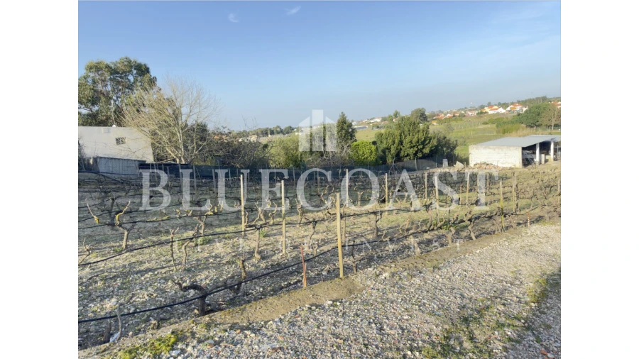 Moradia T5 para Venda em Poceirão e Marateca Foto 50