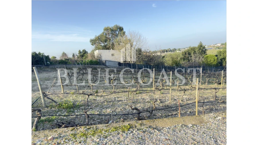 Moradia T5 para Venda em Poceirão e Marateca Foto 51