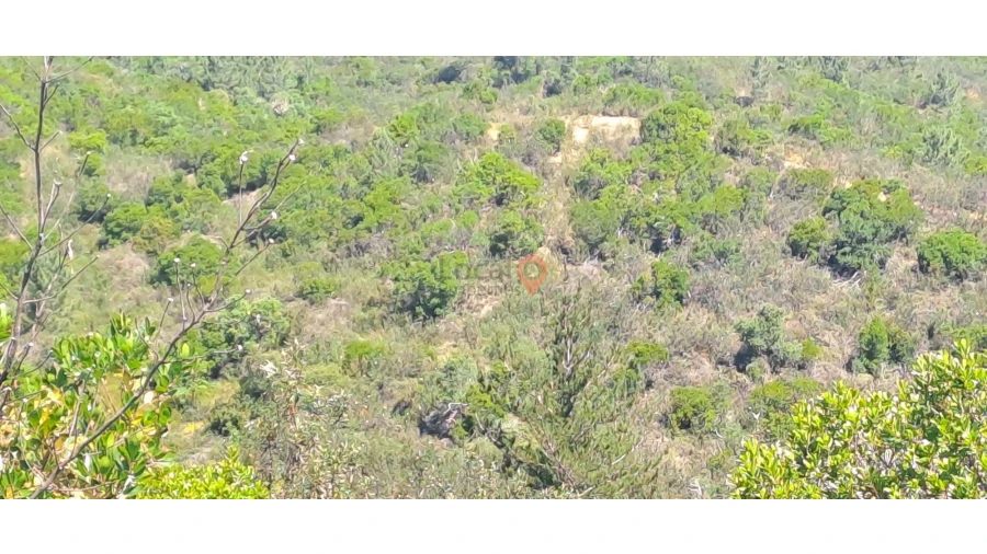 Terreno para Venda em Marmelete Foto 12