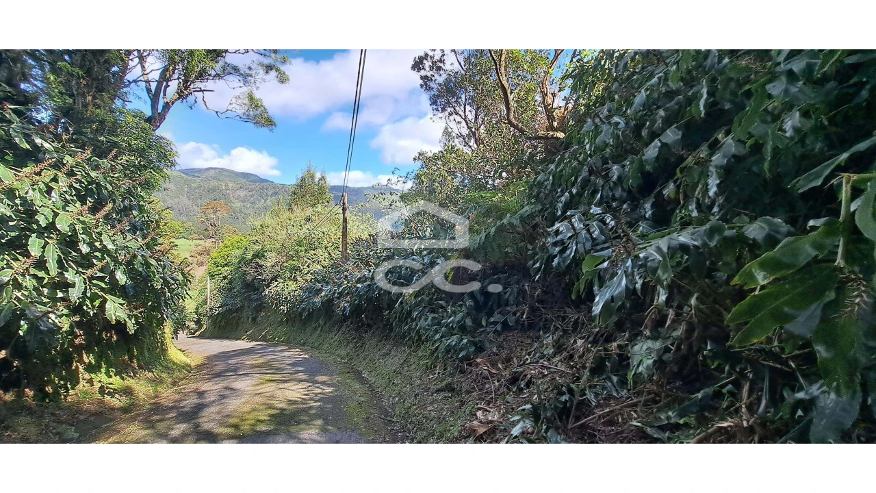 Terreno para Venda em Furnas Foto 9