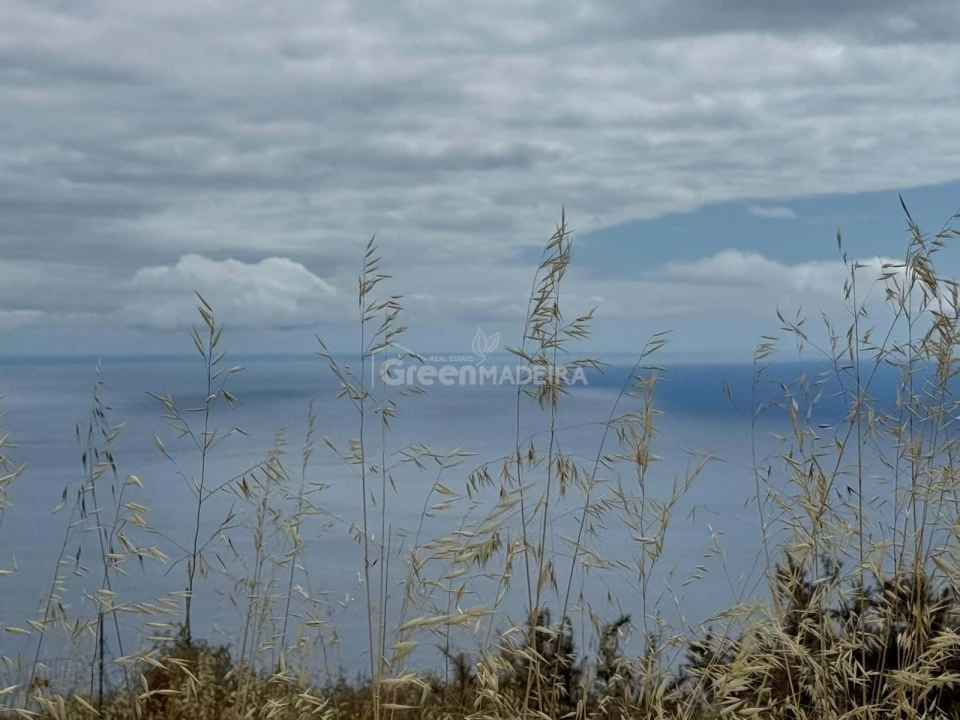 Terreno para Venda em Fajã da Ovelha Foto 1
