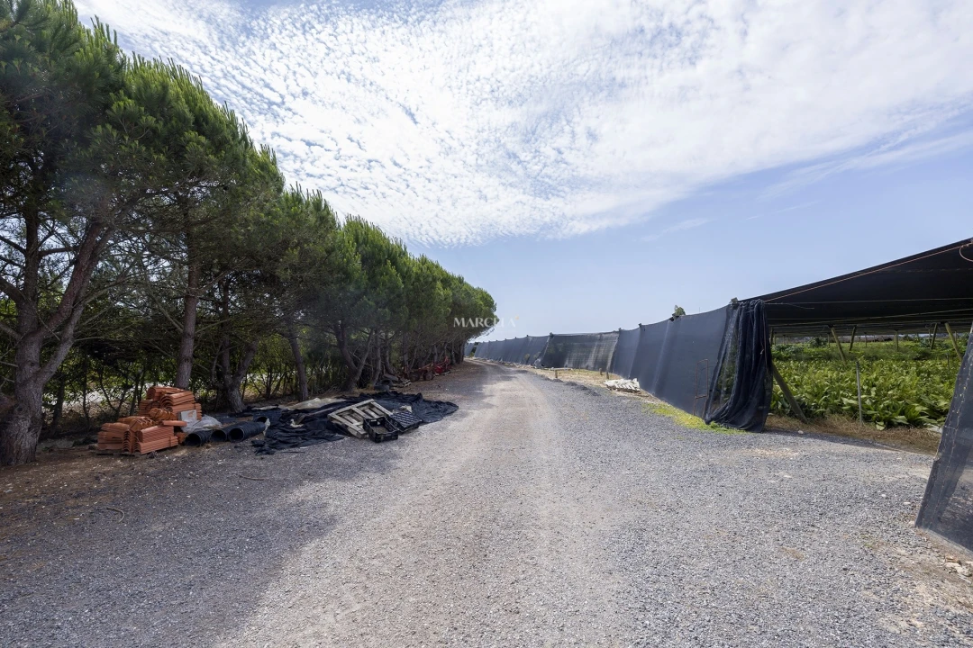 Terreno Agricola ou Rústico para Venda em Odeceixe Foto 8