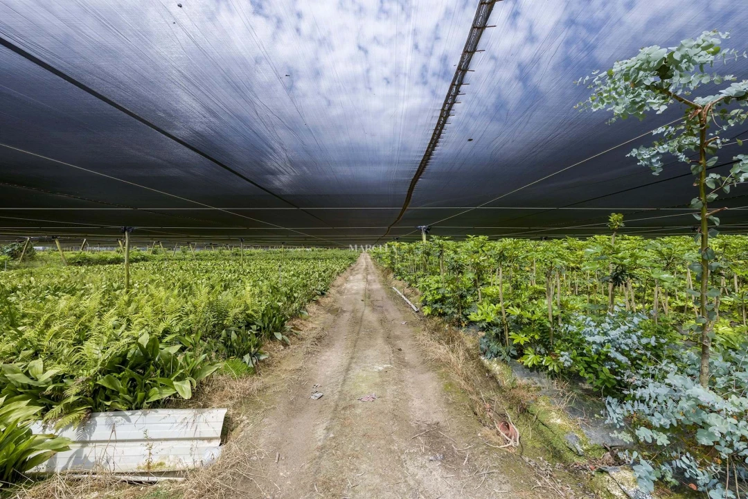 Terreno Agricola ou Rústico para Venda em Odeceixe Foto 3