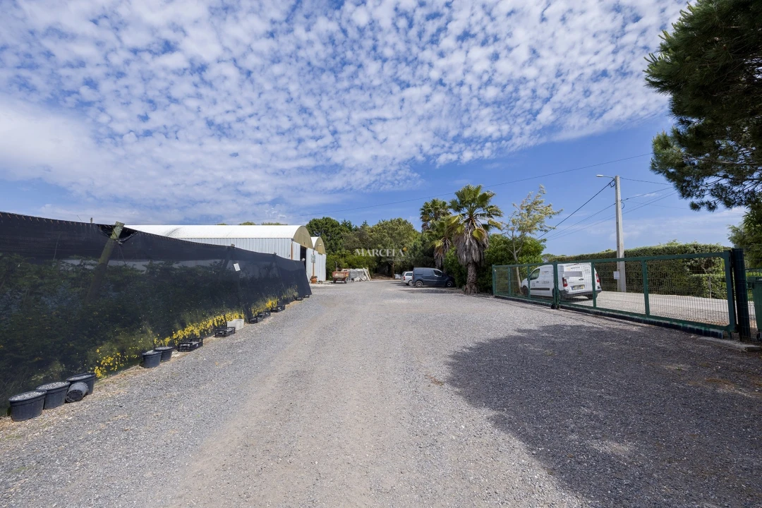 Terreno Agricola ou Rústico para Venda em Odeceixe Foto 5