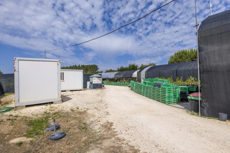 Terreno Agricola ou Rústico para Venda em Odeceixe Foto 11