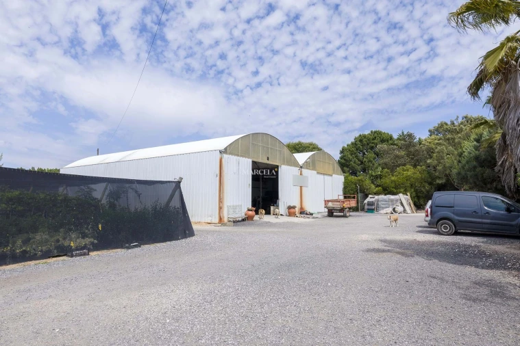 Terreno Agricola ou Rústico para Venda em Odeceixe Foto 2