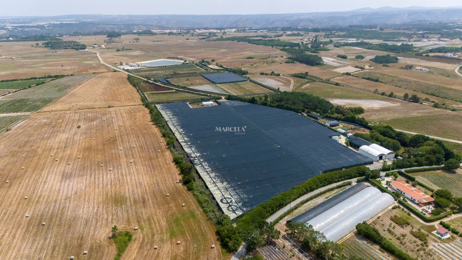Terreno Agricola ou Rústico para Venda em Odeceixe Foto 14