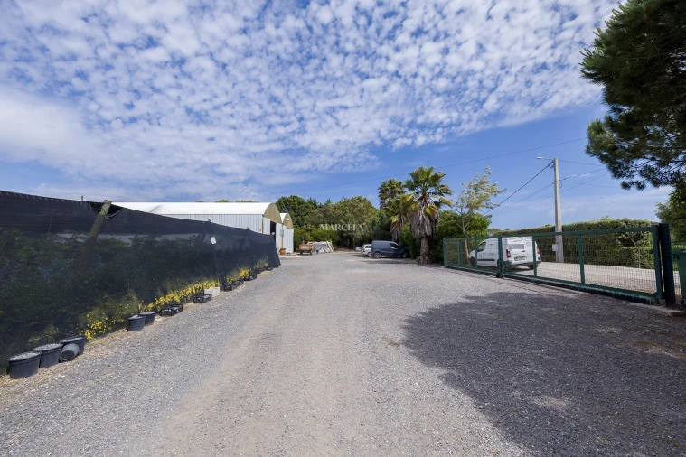 Terreno Agricola ou Rústico para Venda em Odeceixe Foto 5