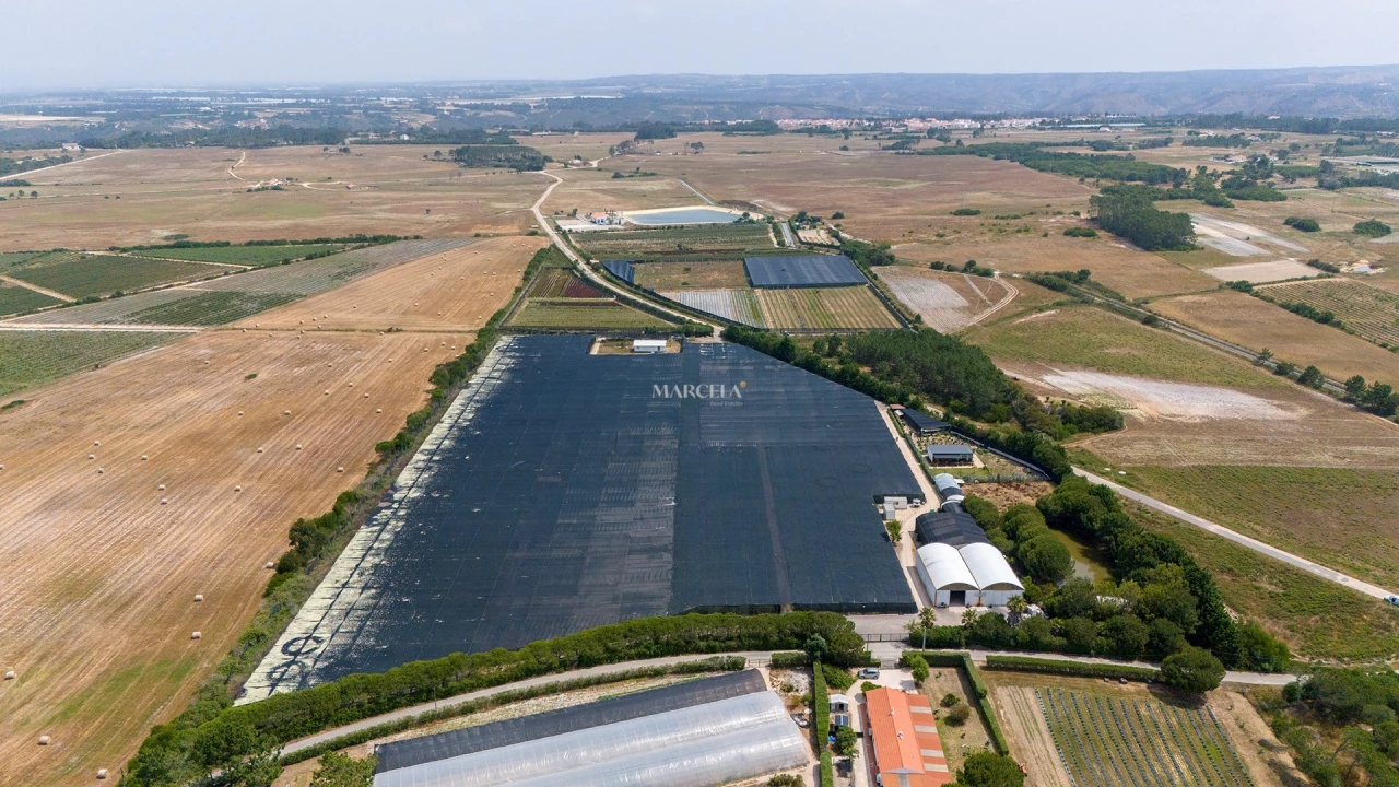 Terreno Agricola ou Rústico para Venda em Odeceixe Foto 15