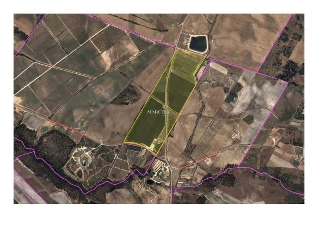 Terreno Agricola ou Rústico para Venda em Odeceixe Foto 17