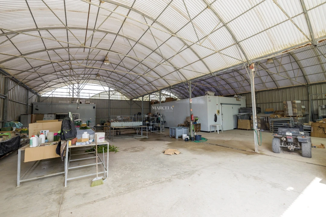 Terreno Agricola ou Rústico para Venda em Odeceixe Foto 10