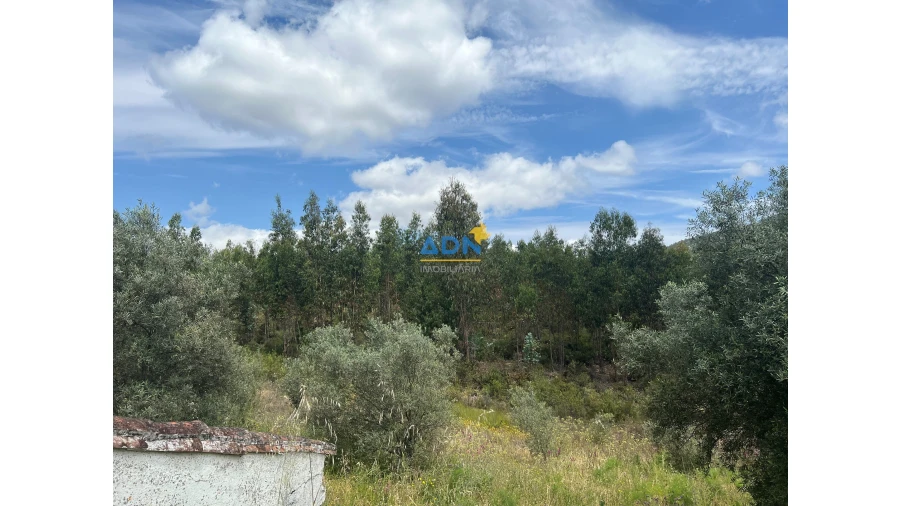 Moradia T7 para Venda em Fratel Foto 9