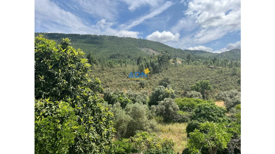 Moradia T7 para Venda em Fratel Foto 16