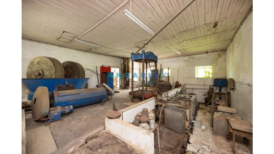 Negócio para Venda em Alvados e Alcaria Foto 2